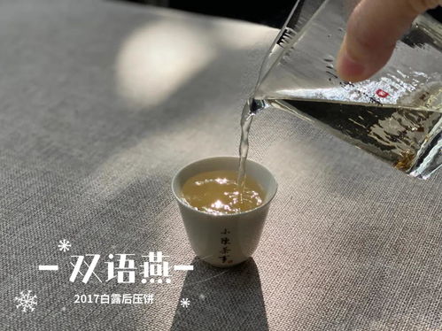 白茶饼撬完要醒茶 别再照搬普洱茶的做法了,可能会 害 了好茶